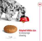 Royal Canin Medium Adult Dry Dog Food