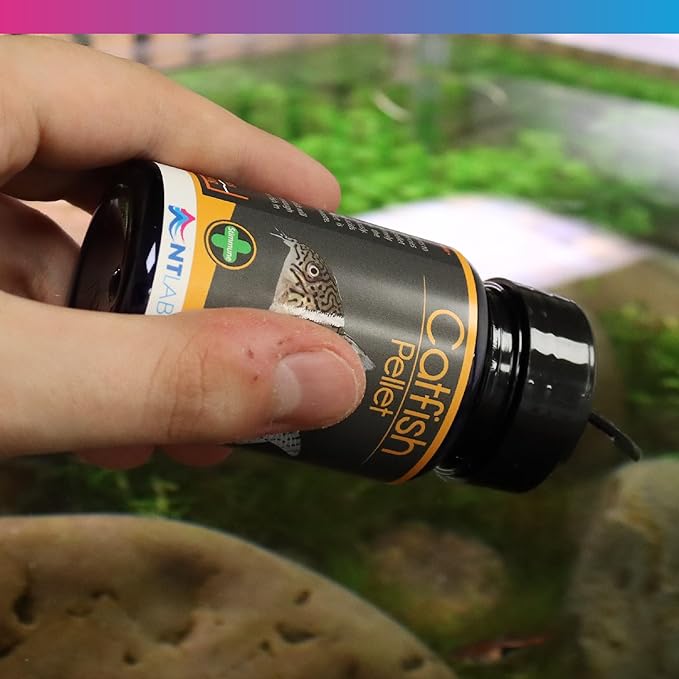 NT Labs Pro-f Catfish Pellet Fish Food