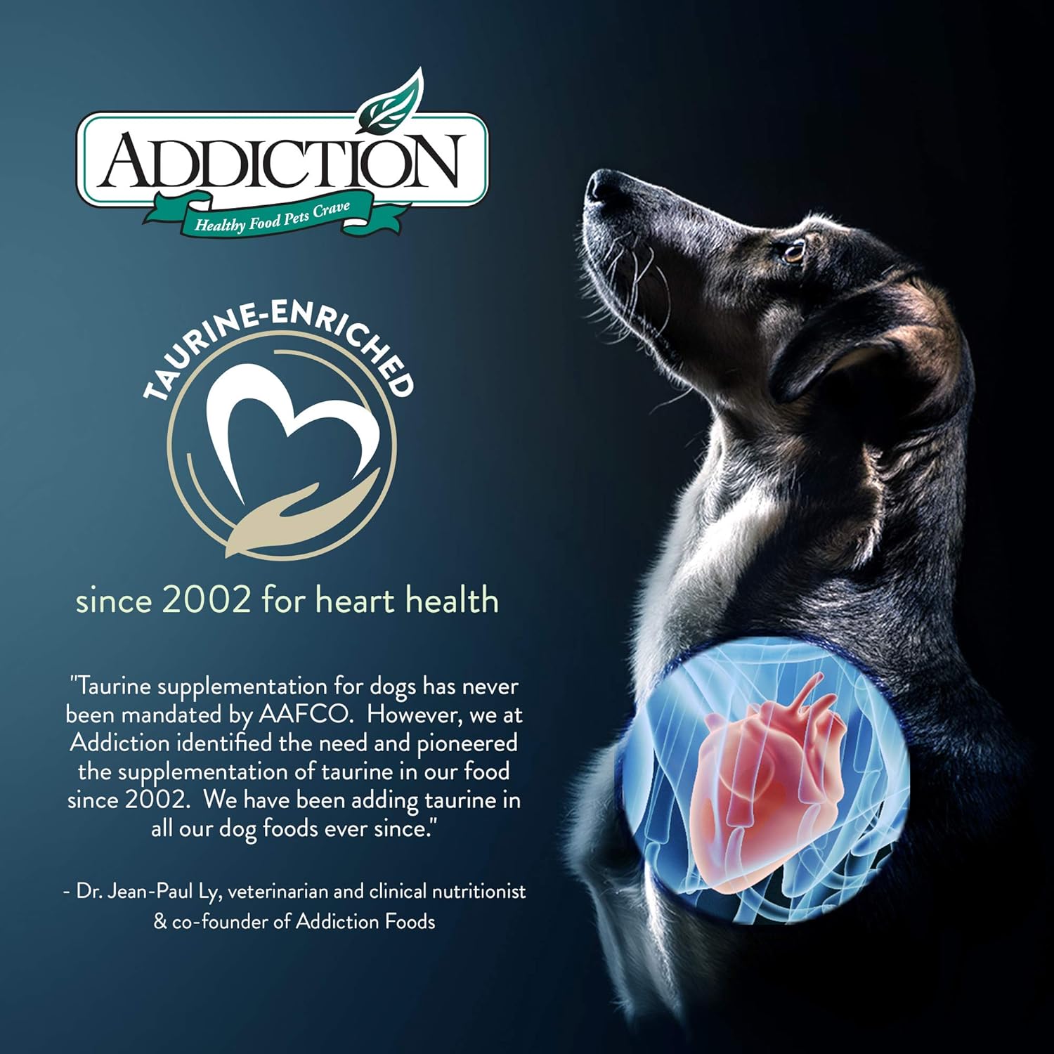 Addiction Le Lamb Dry Dog Food - 20LBS