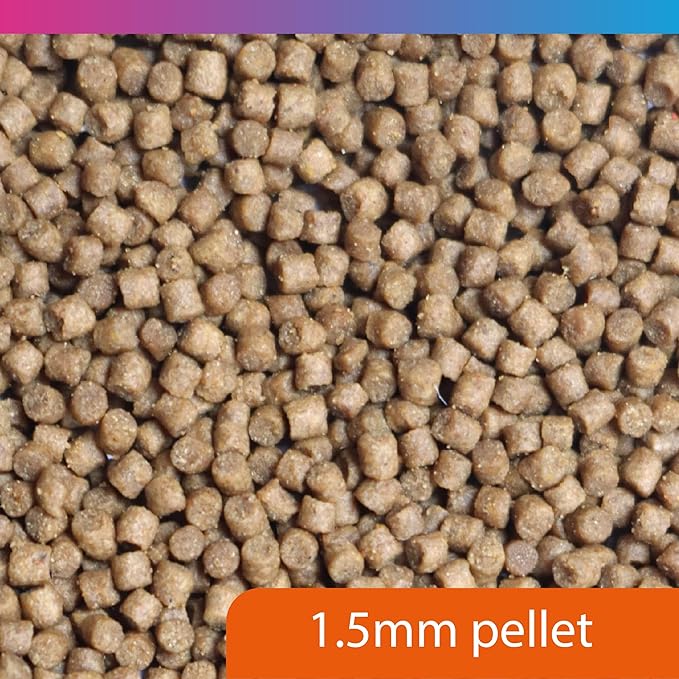 NT Labs Pro-f Catfish Pellet Fish Food