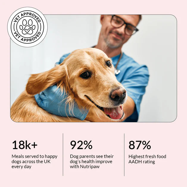 NutriPaw Chicken Dry Dog Food (5kg)
