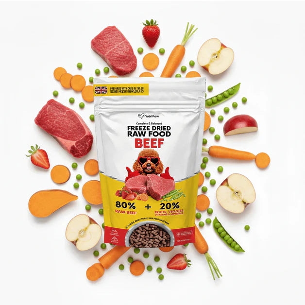 NutriPaw Chicken Dry Dog Food (5kg)