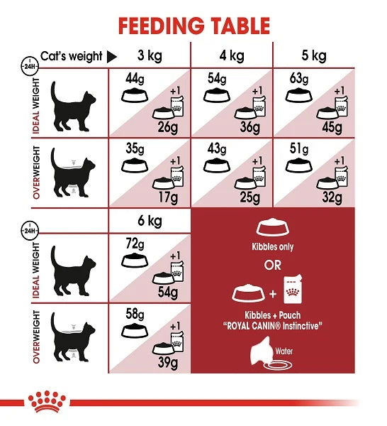 Royal Canin Regular Fit 32 Adult Dry Cat Food